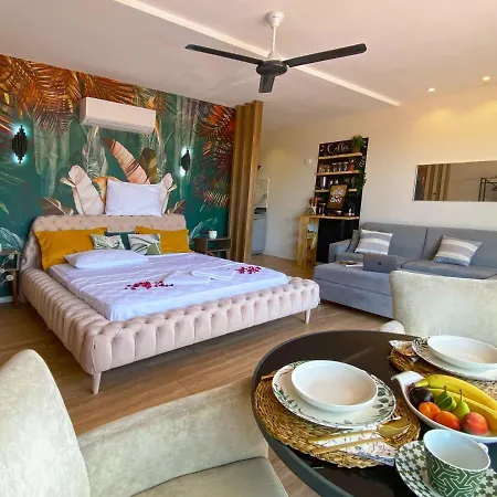 Villa Jakuzili Havuzlu Tropical Balayi Temali Lux *